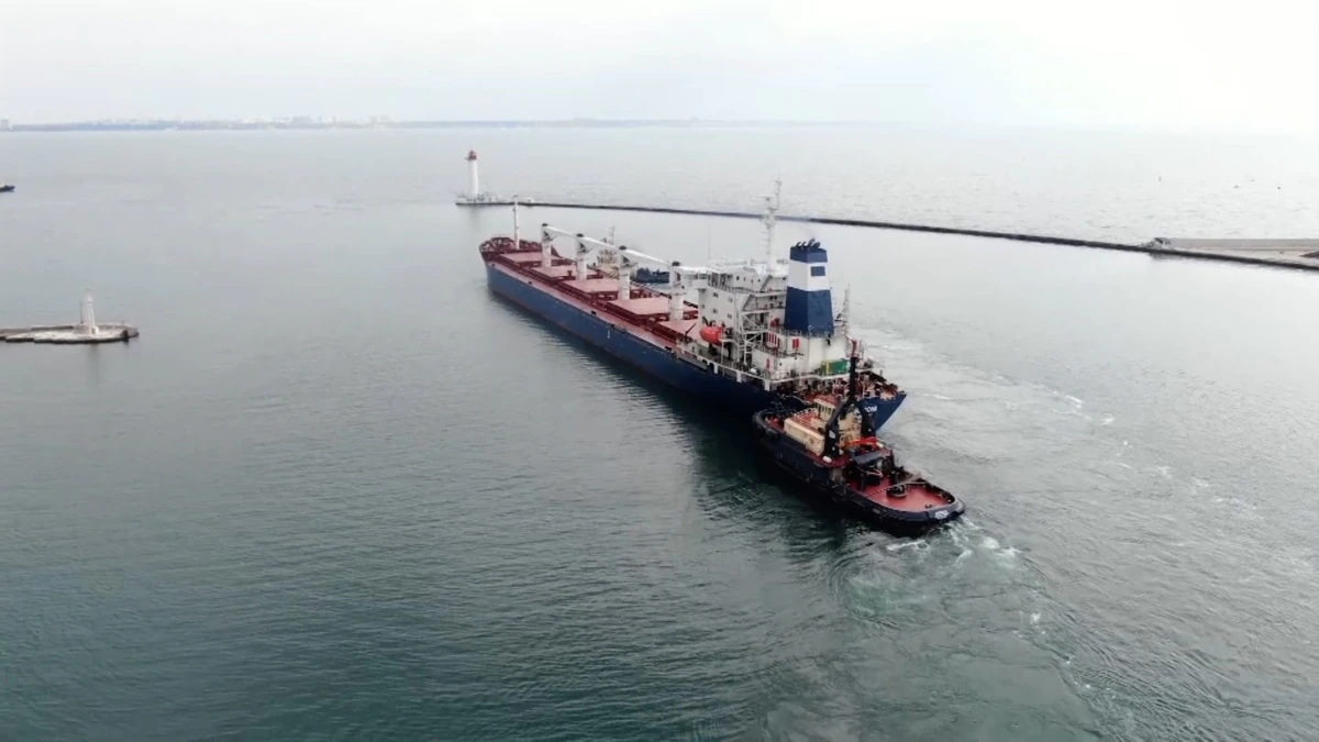 Розблокування портів. Туреччина каже про завершення інспекції на першому судні з українським зерном