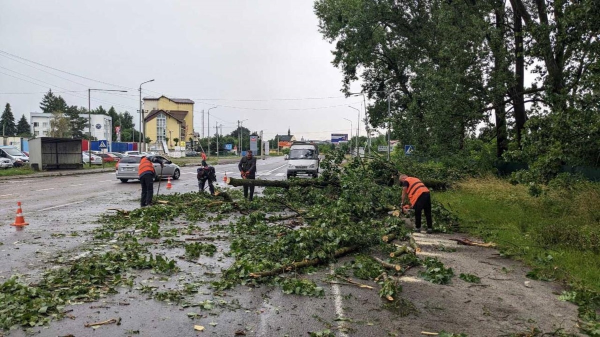 У Львові негода повалила близько 100 дерев та пошкодила дахи – Садовий